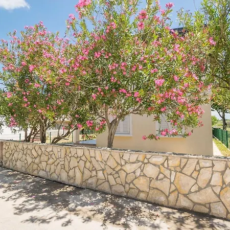Savka Apartamento Nin